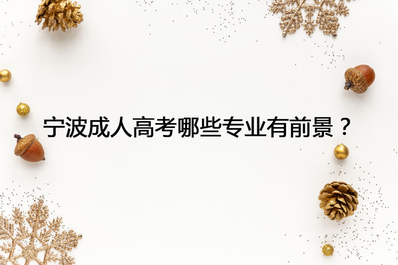宁波成人高考哪些专业有前景？
