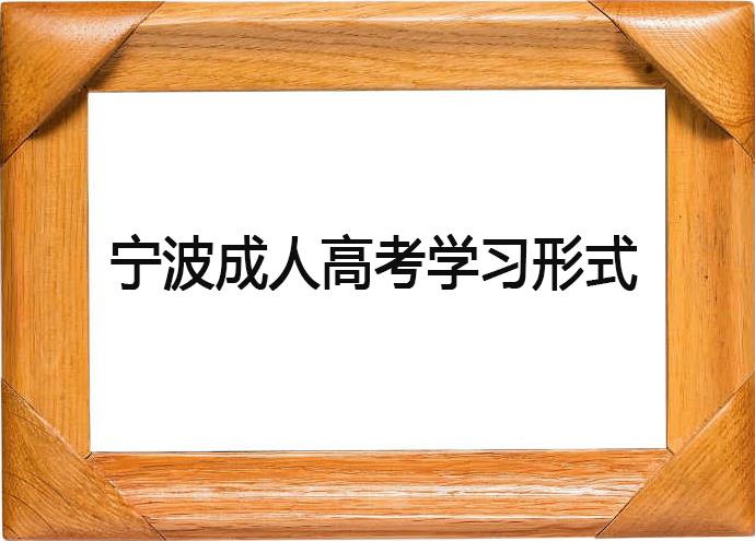 宁波成人高考的学习形式